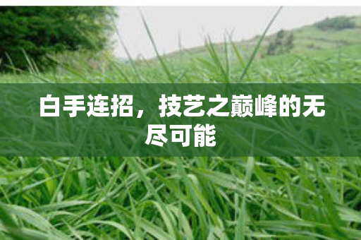 技艺之巅峰的无尽可能图片