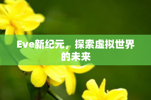 探索虚拟世界的未来图片