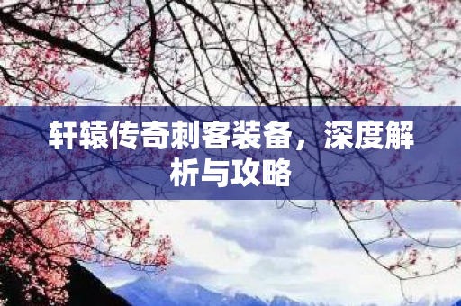 轩辕传奇刺客装备图片