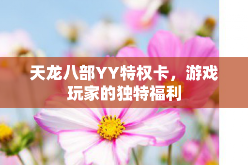 天龙八部YY特权卡图片