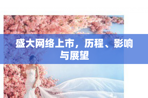盛大网络上市图片