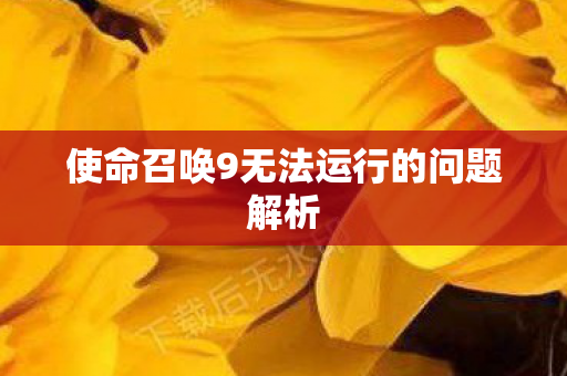 使命召唤9无法运行的问题解析图片