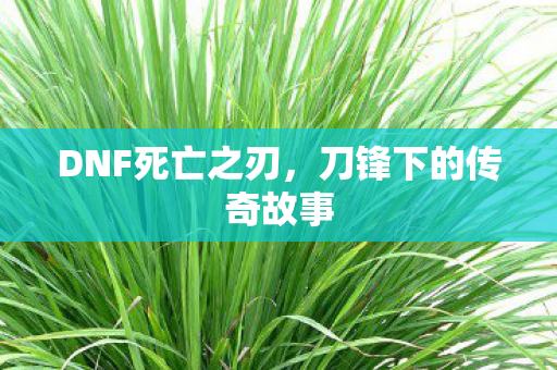 刀锋下的传奇故事图片