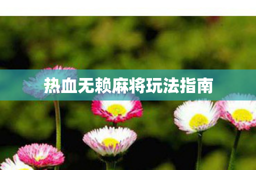 热血无赖麻将玩法指南图片