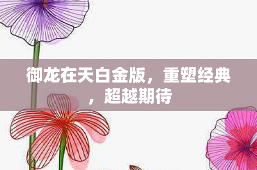 御龙在天白金版图片