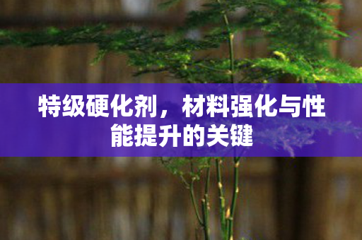 材料强化与性能提升的关键图片