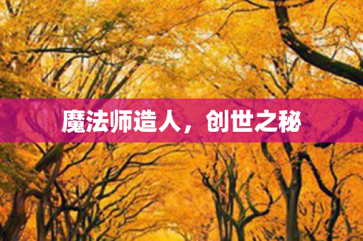 魔法师造人图片