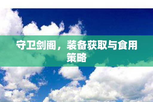 装备获取与食用策略图片