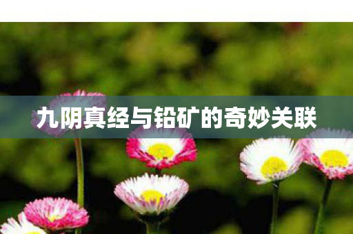 九阴真经与铅矿的奇妙关联图片