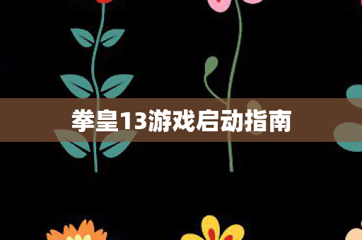 拳皇13游戏启动指南图片