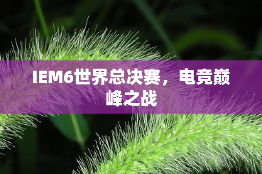 IEM6世界总决赛图片