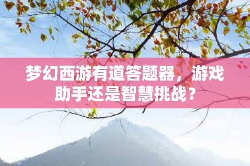 游戏助手还是智慧挑战图片