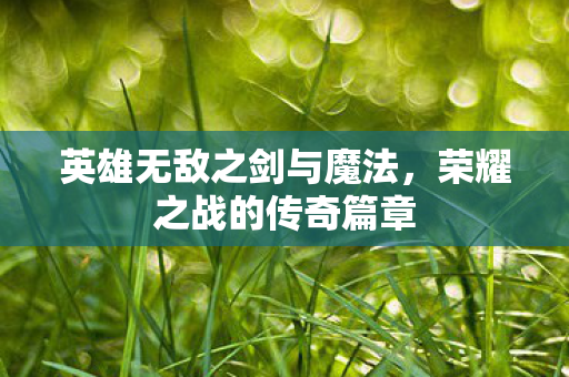 英雄无敌之剑与魔法图片