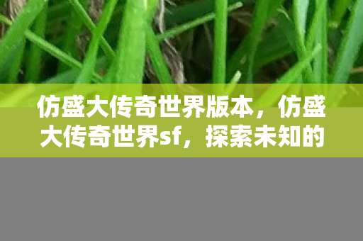 仿盛大传奇世界版本图片