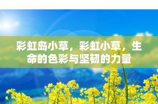 生命的色彩与坚韧的力量图片