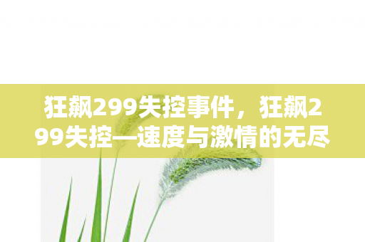 速度与激情的无尽疯狂图片