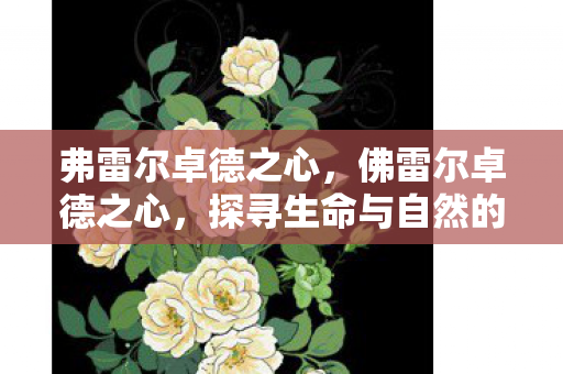 探寻生命与自然的和谐共生图片