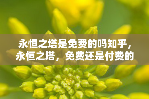 永恒之塔是免费的吗知乎图片