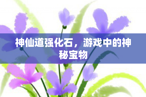 游戏中的神秘宝物图片