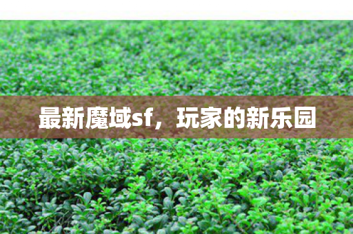 最新魔域sf图片