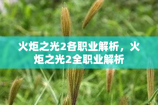火炬之光2各职业解析图片