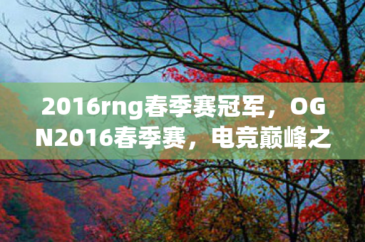 2016rng春季赛冠军图片