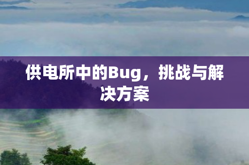 供电所中的Bug图片