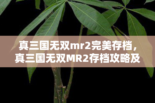 真三国无双MR2存档攻略及解析图片