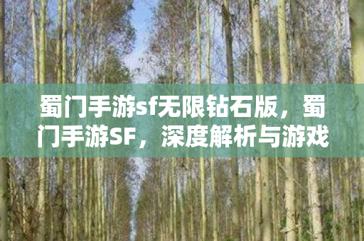 蜀门手游sf无限钻石版图片