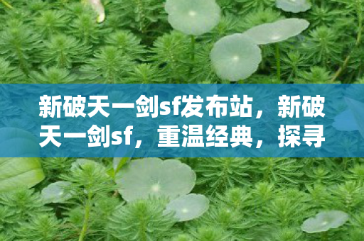 新破天一剑sf发布站图片
