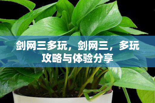 多玩攻略与体验分享图片