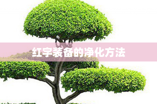 红字装备的净化方法图片