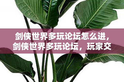心得分享与游戏攻略的聚集地图片