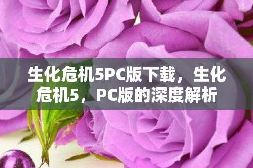 生化危机5PC版下载图片