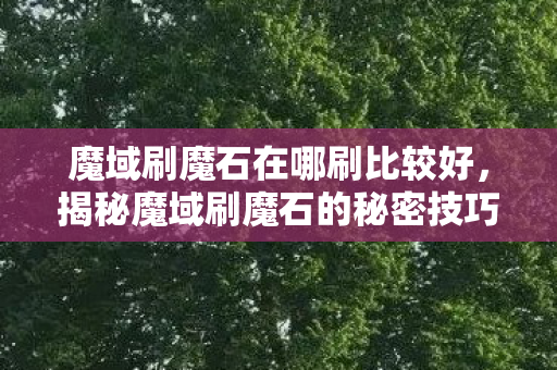 揭秘魔域刷魔石的秘密技巧图片