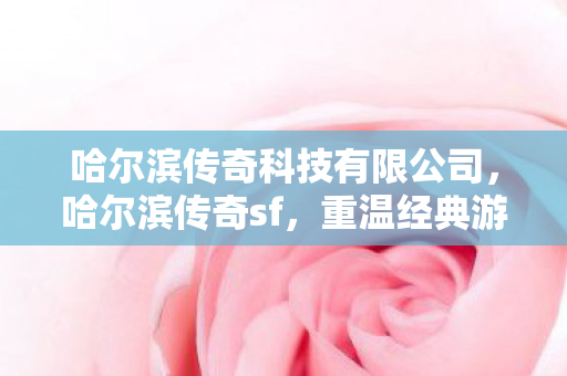 重温经典游戏的独特魅力与回忆图片