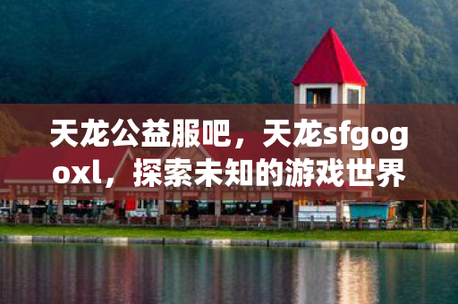 天龙sfgogoxl图片