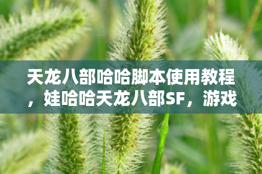 天龙八部哈哈脚本使用教程图片