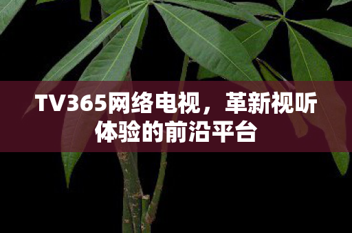 革新视听体验的前沿平台图片