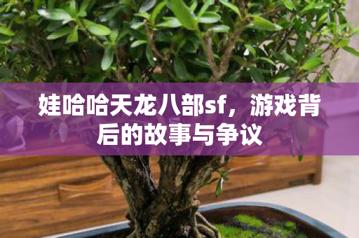 游戏背后的故事与争议图片