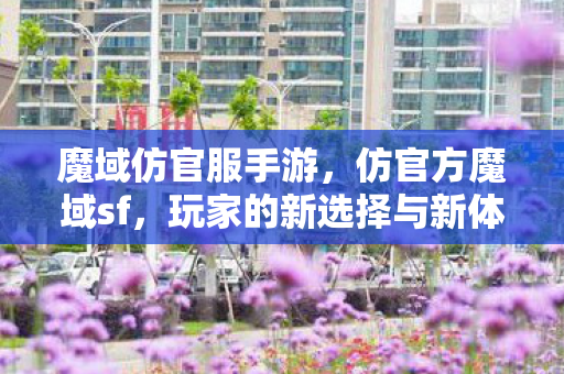 玩家的新选择与新体验图片
