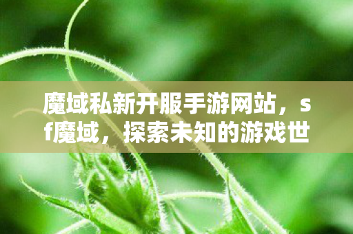 魔域私新开服手游网站图片