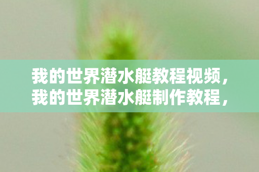 从零开始打造你的水下王国图片