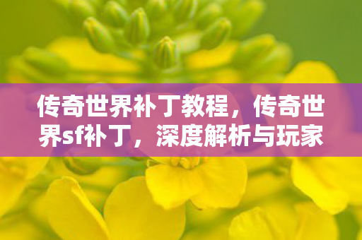 深度解析与玩家指南图片