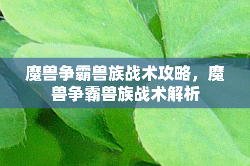 魔兽争霸兽族战术攻略图片