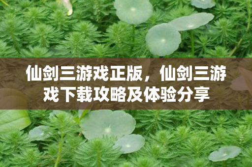 仙剑三游戏下载攻略及体验分享图片
