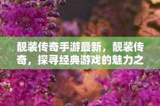 探寻经典游戏的魅力之源图片