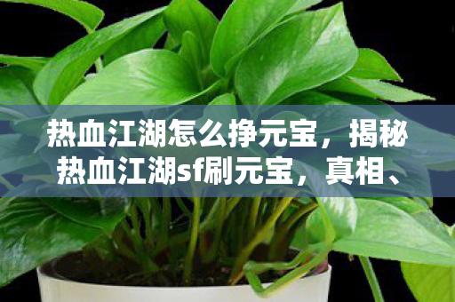 揭秘热血江湖sf刷元宝图片