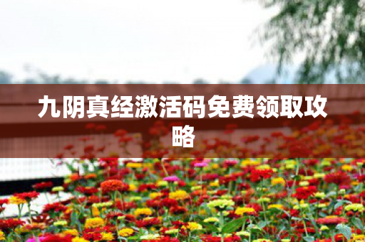 九阴真经激活码免费领取攻略图片