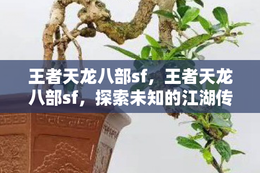 探索未知的江湖传奇图片